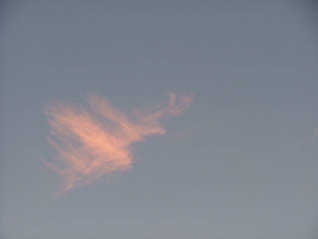 DSCF1037.jpg