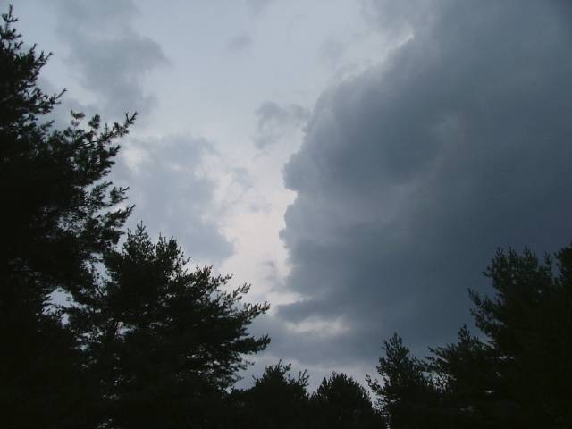 DSCF1047.jpg