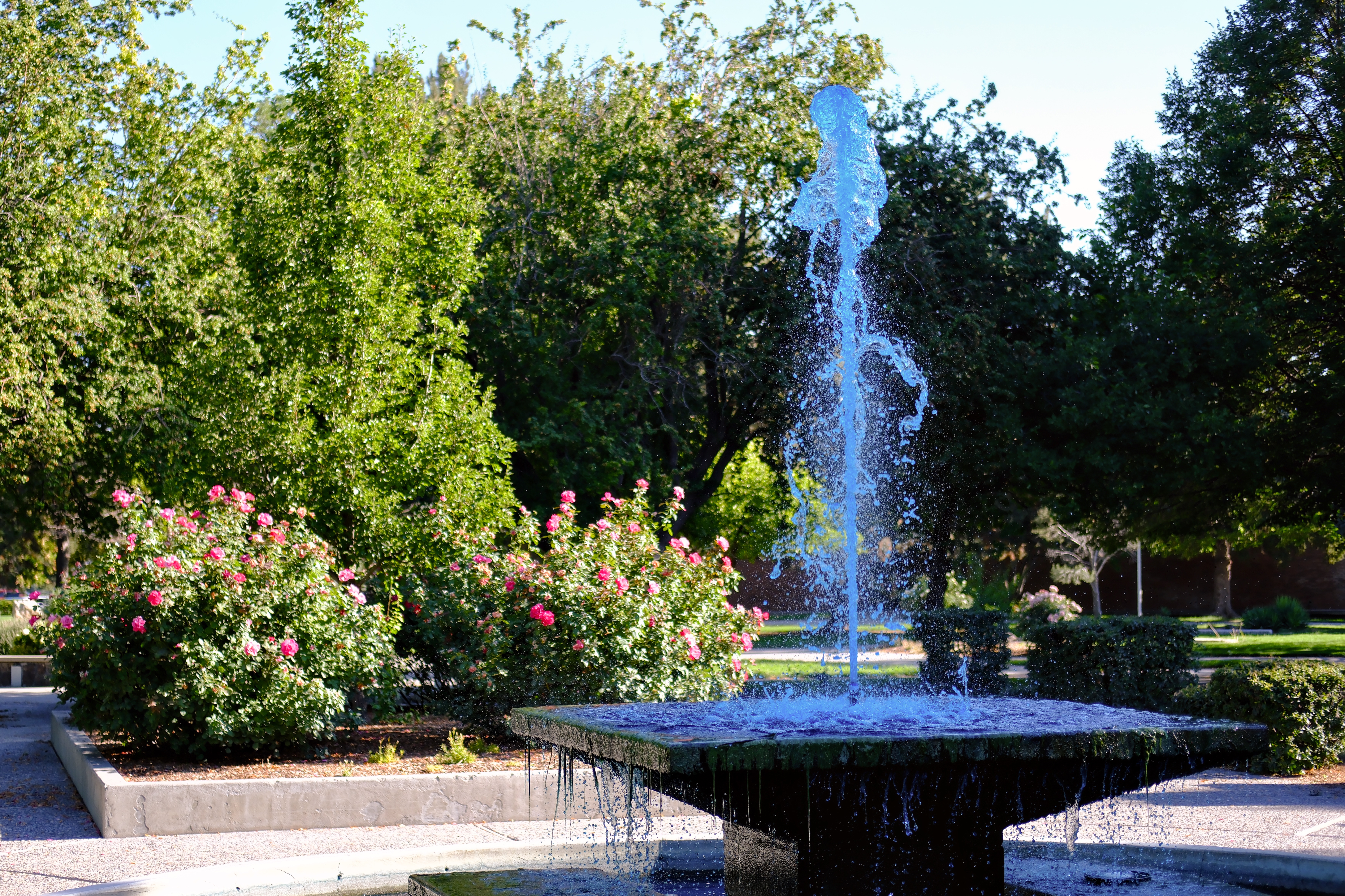 DSCF1080.jpg