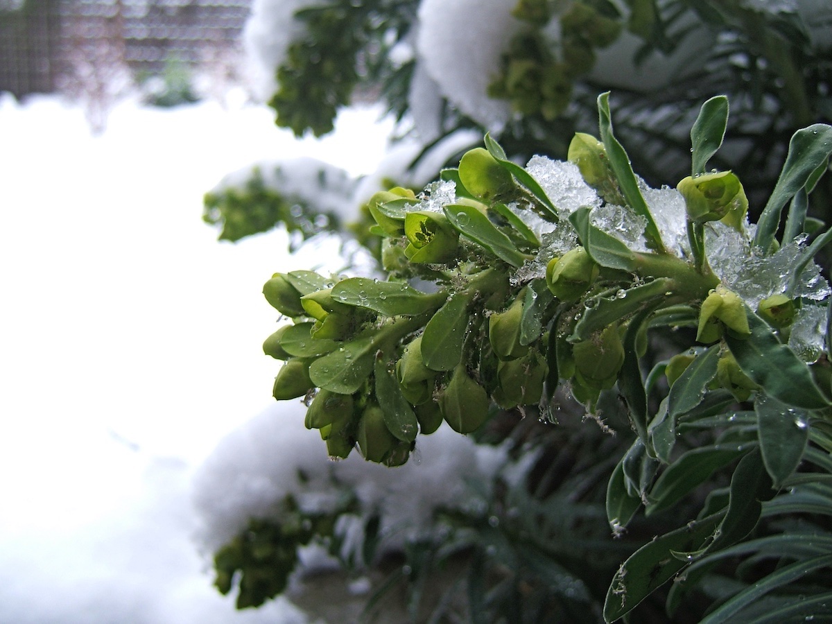 DSCF1561.JPG