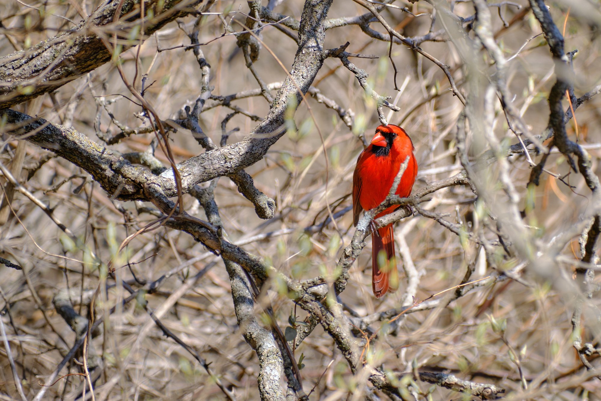 DSCF1653.jpg
