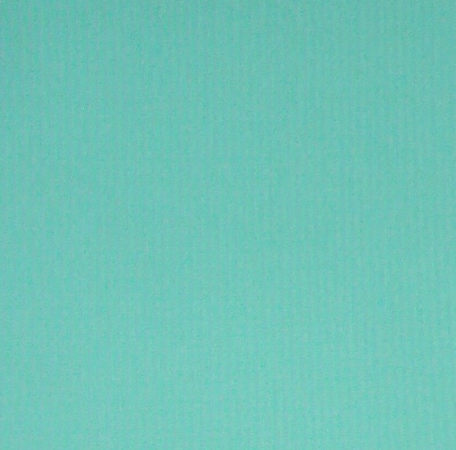 DSCF5608.JPG