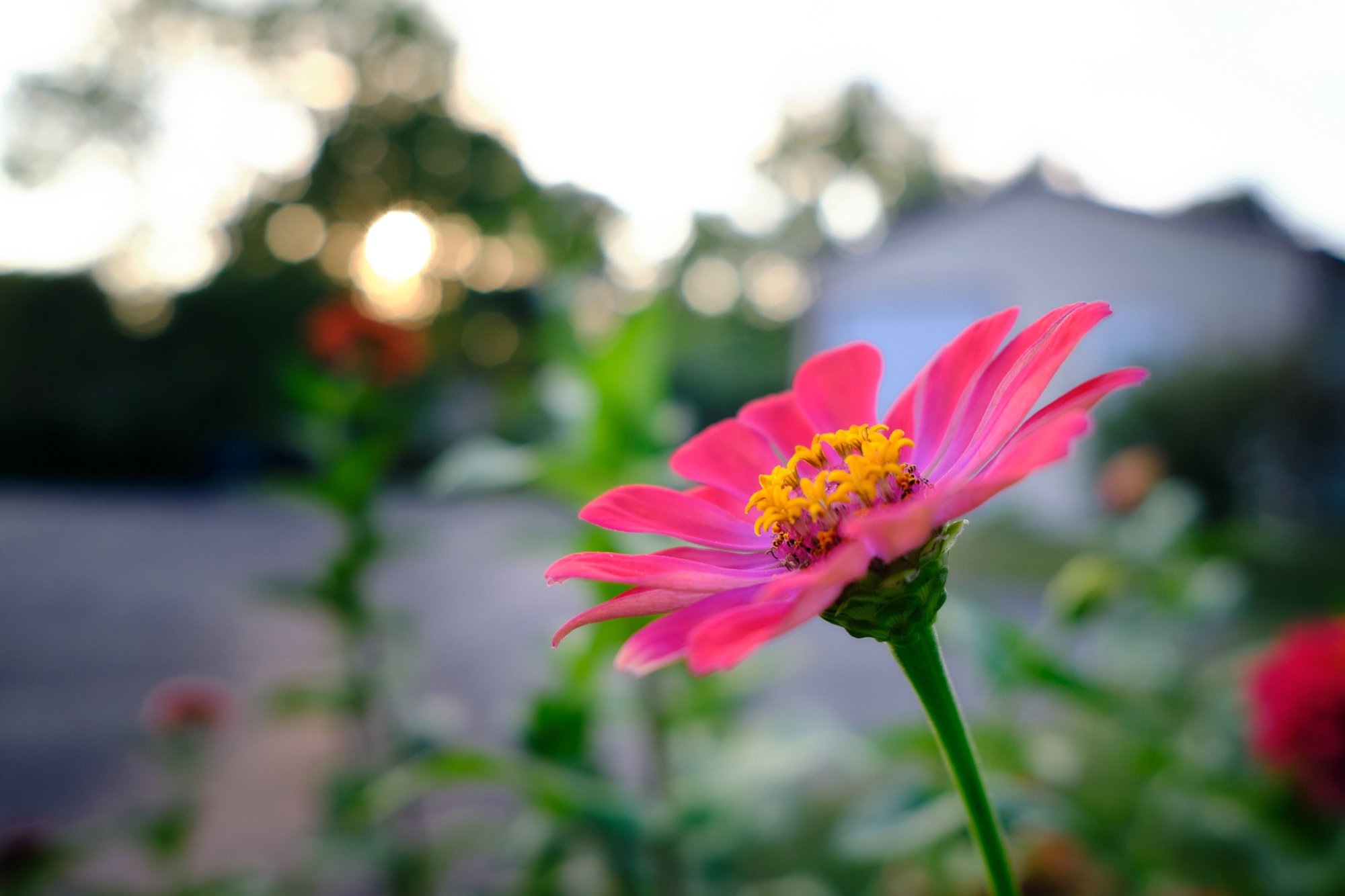 DSCF9013.jpg