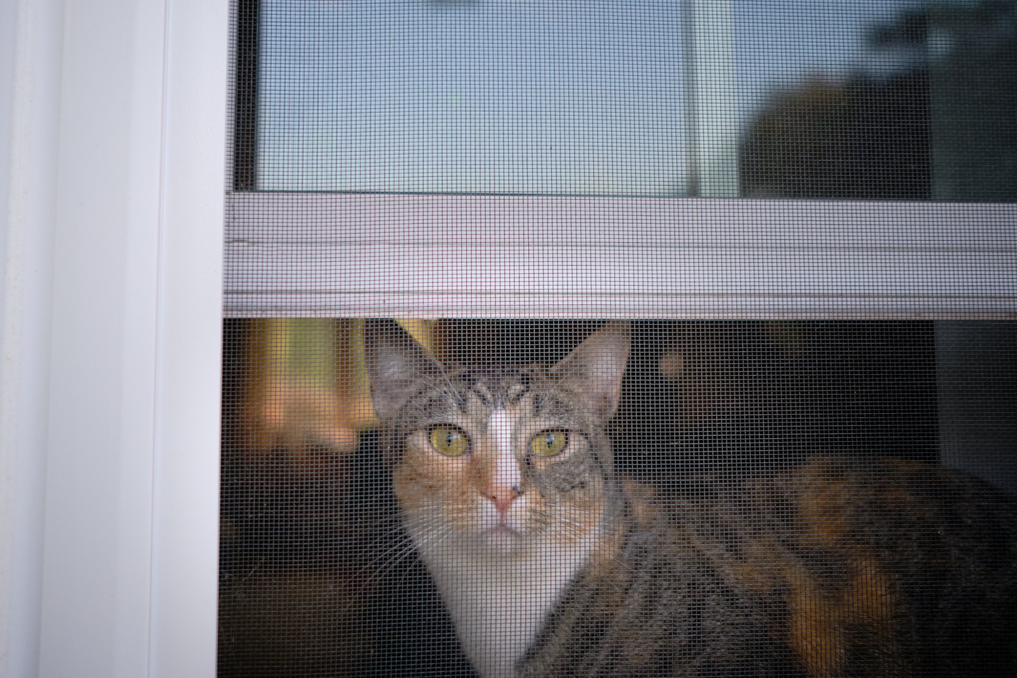 DSCF9021.jpg