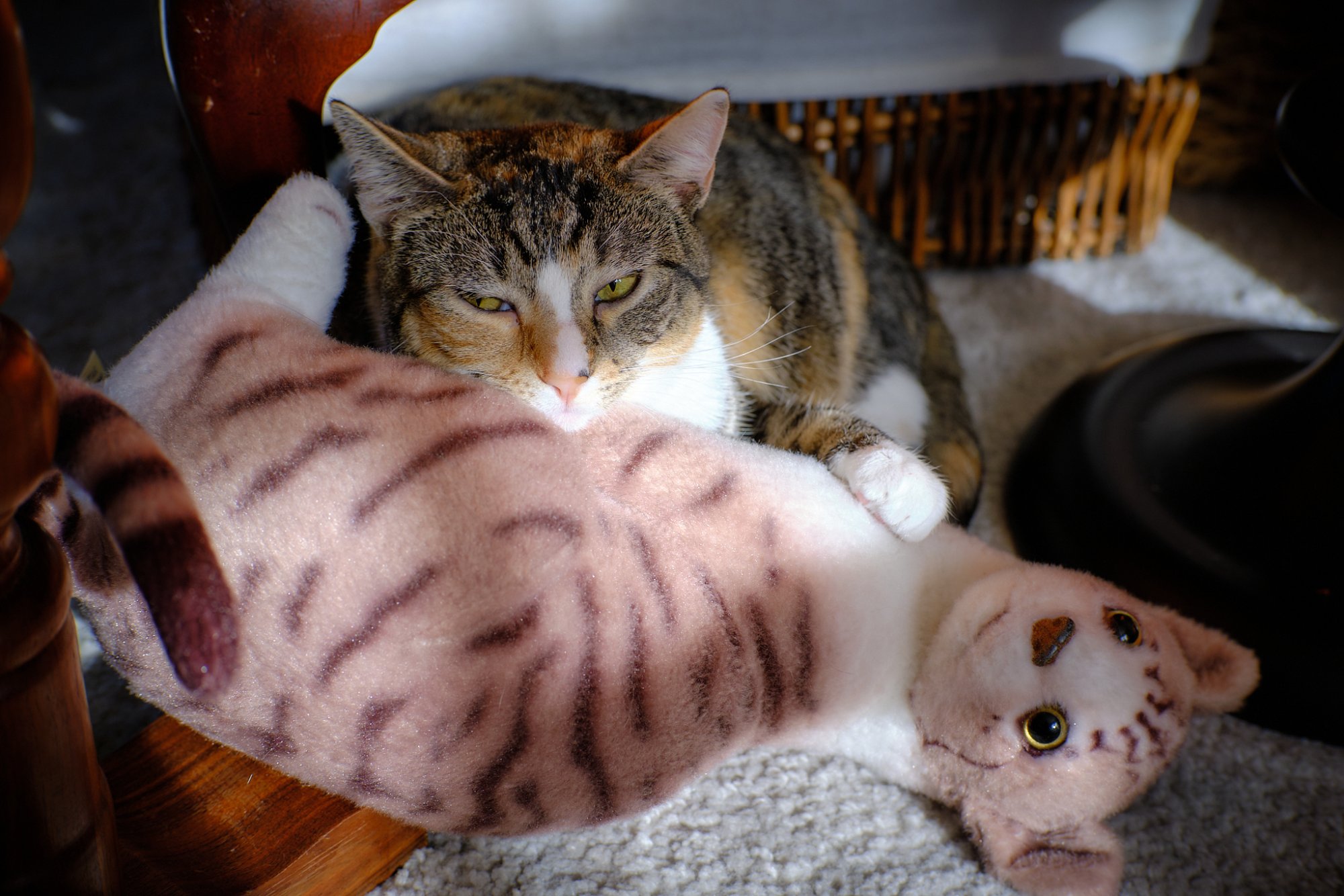DSCF9057.jpg