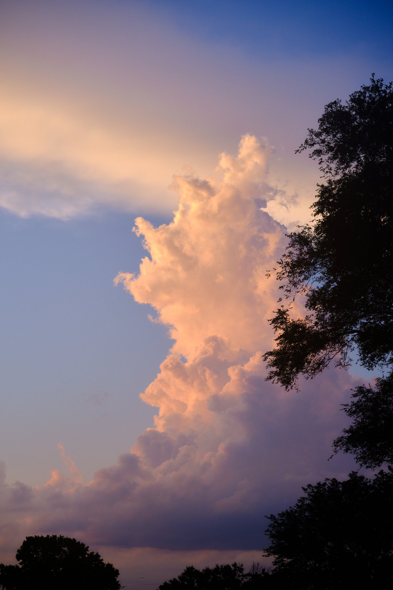 DSCF9409.jpg
