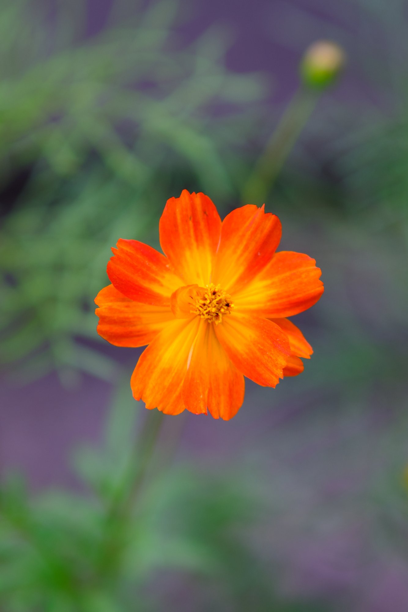 DSCF9498.jpg