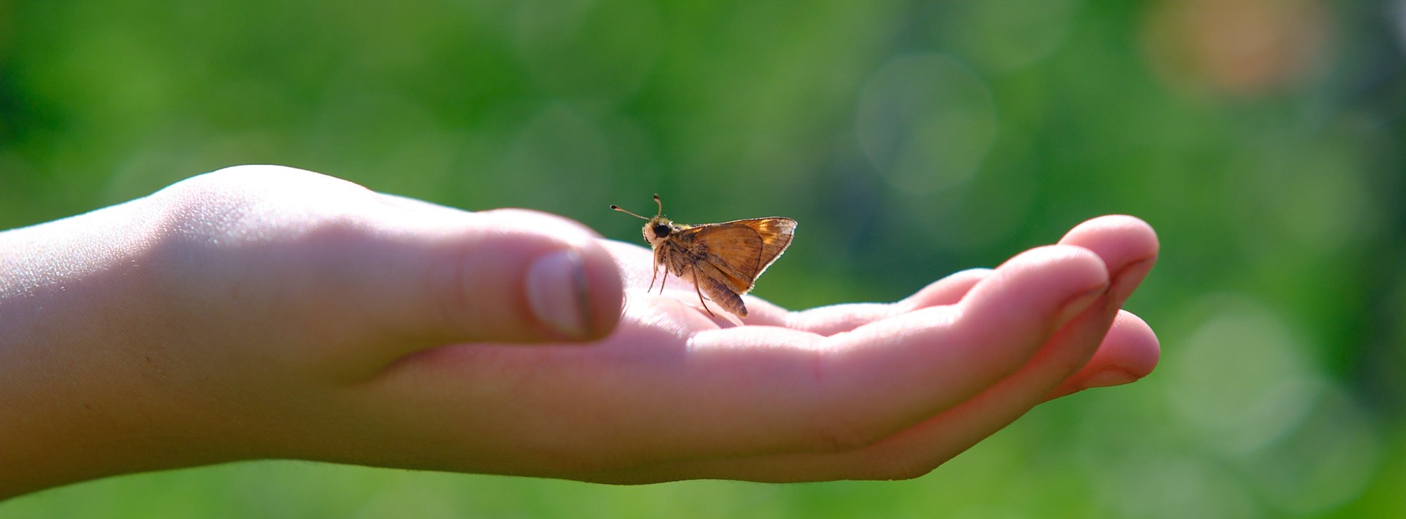 DSCF9518.jpg