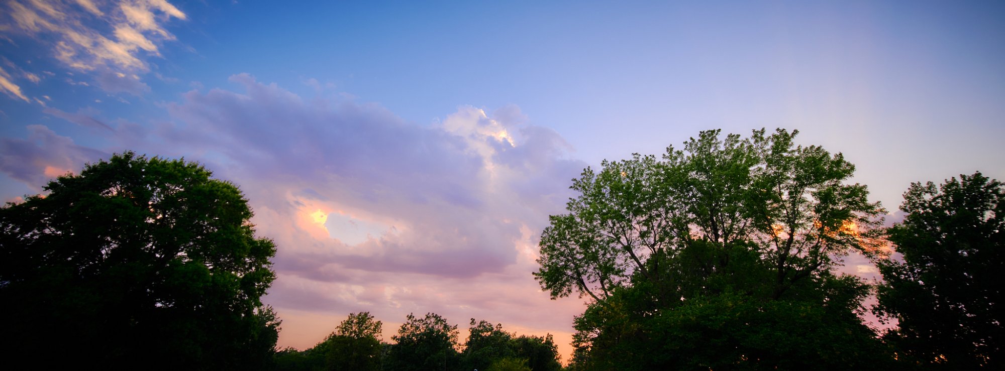 DSCF9546.jpg