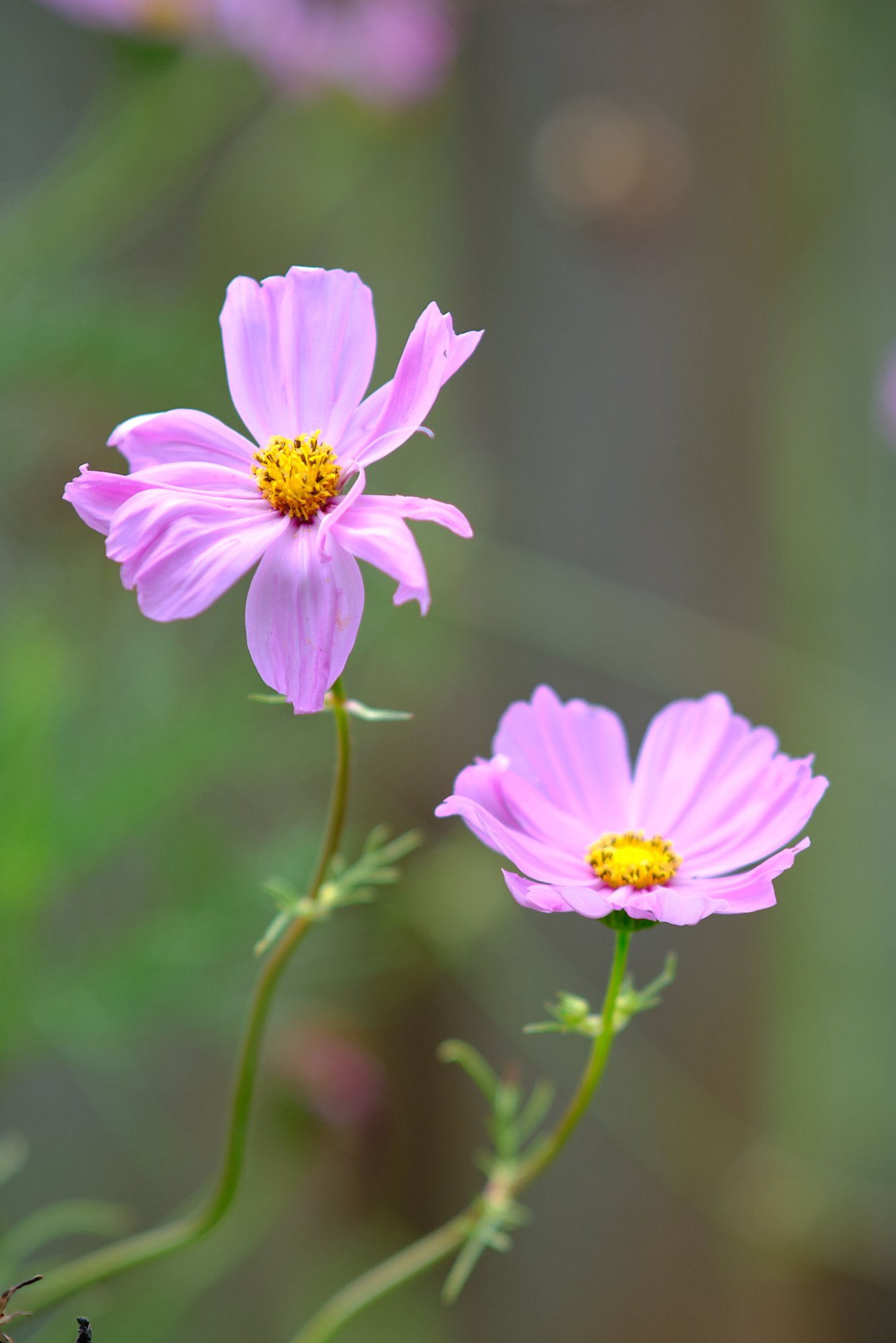DSCF9587.jpg