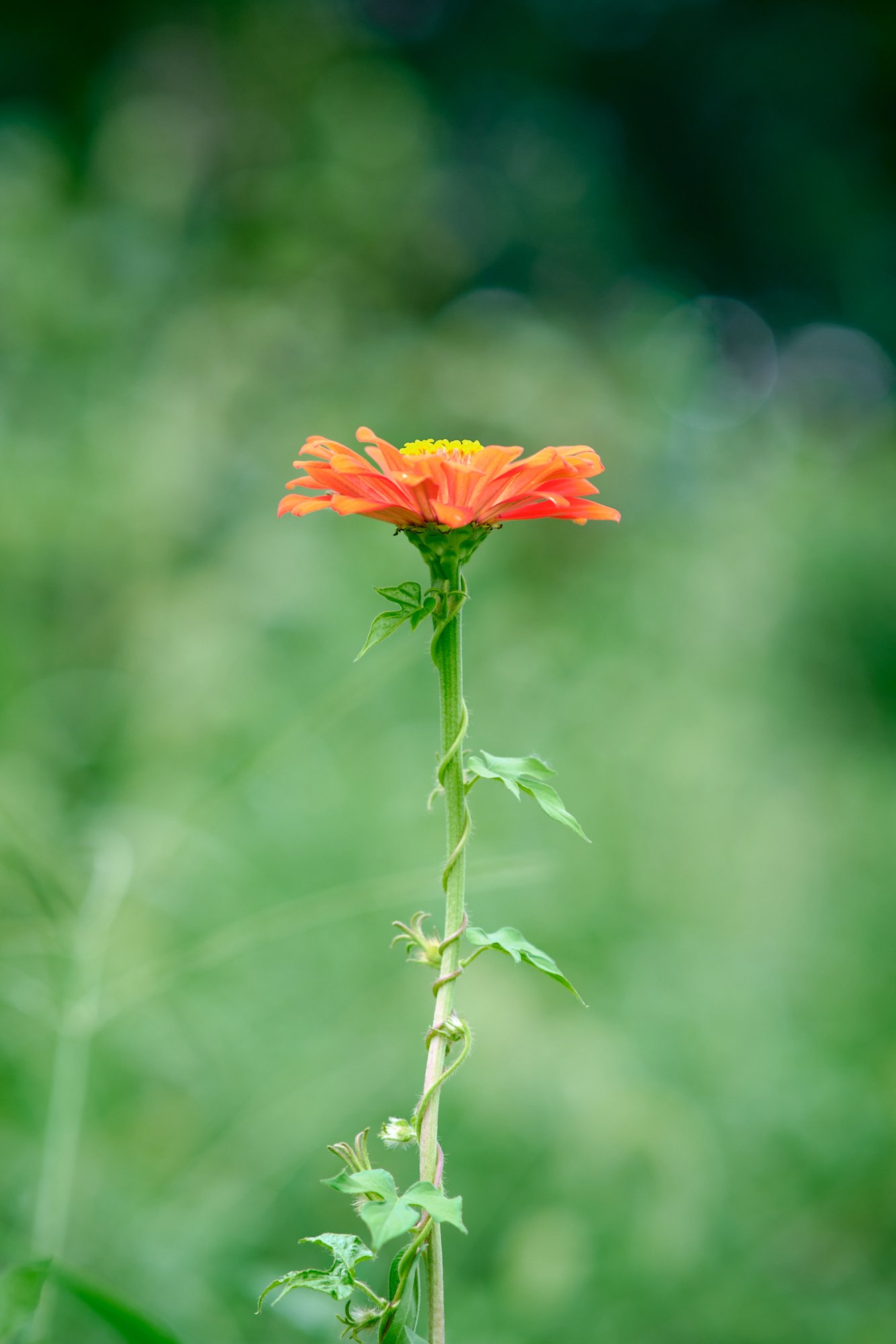 DSCF9589.jpg