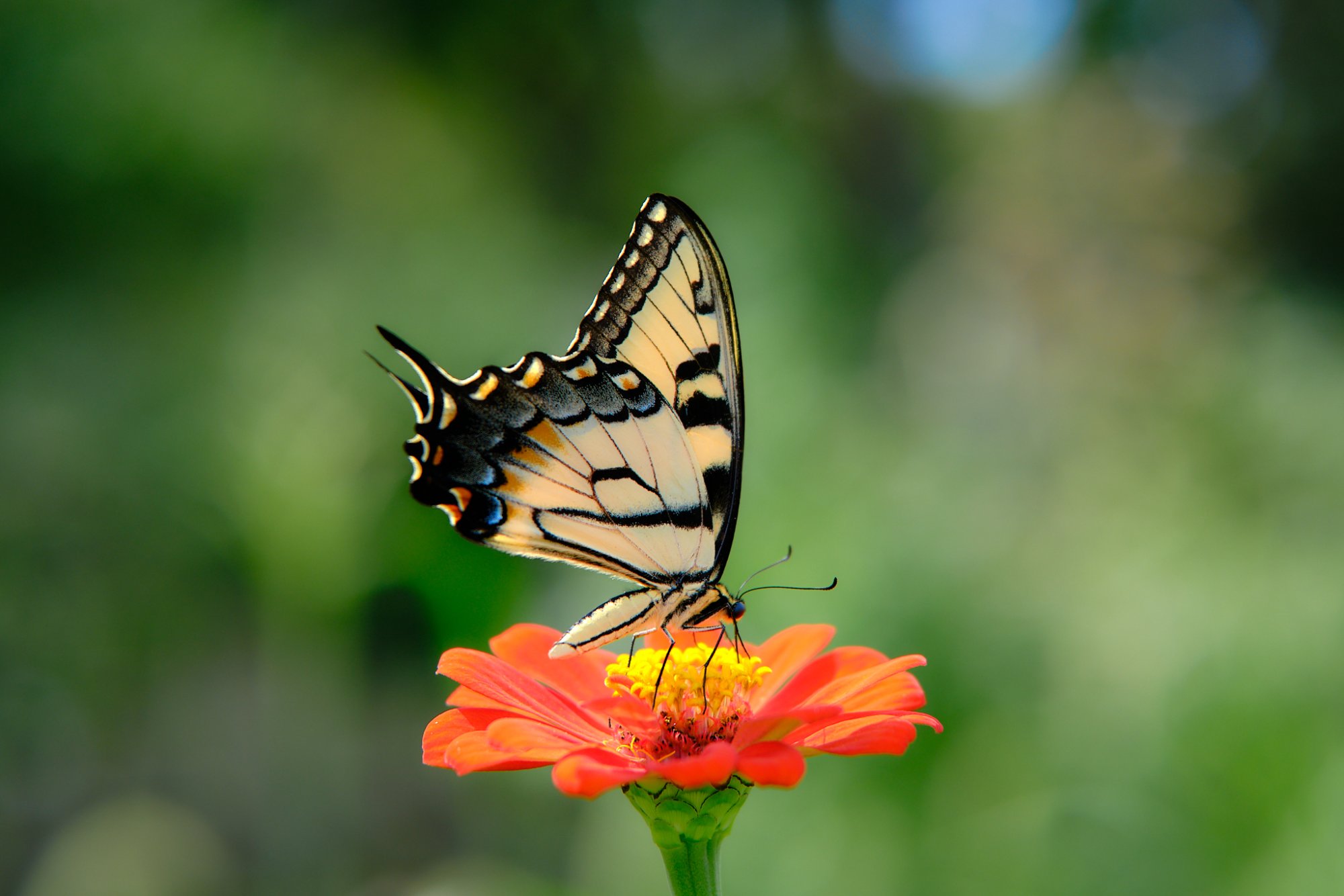 DSCF9608 1.jpg