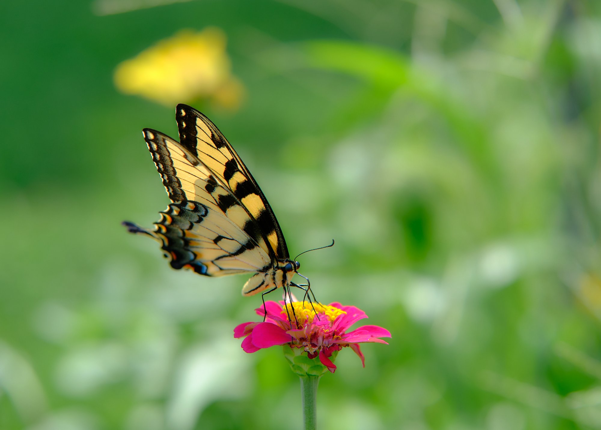 DSCF9610.jpg