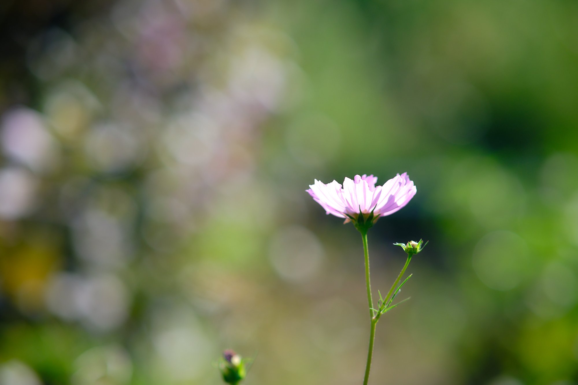 DSCF9739.jpg
