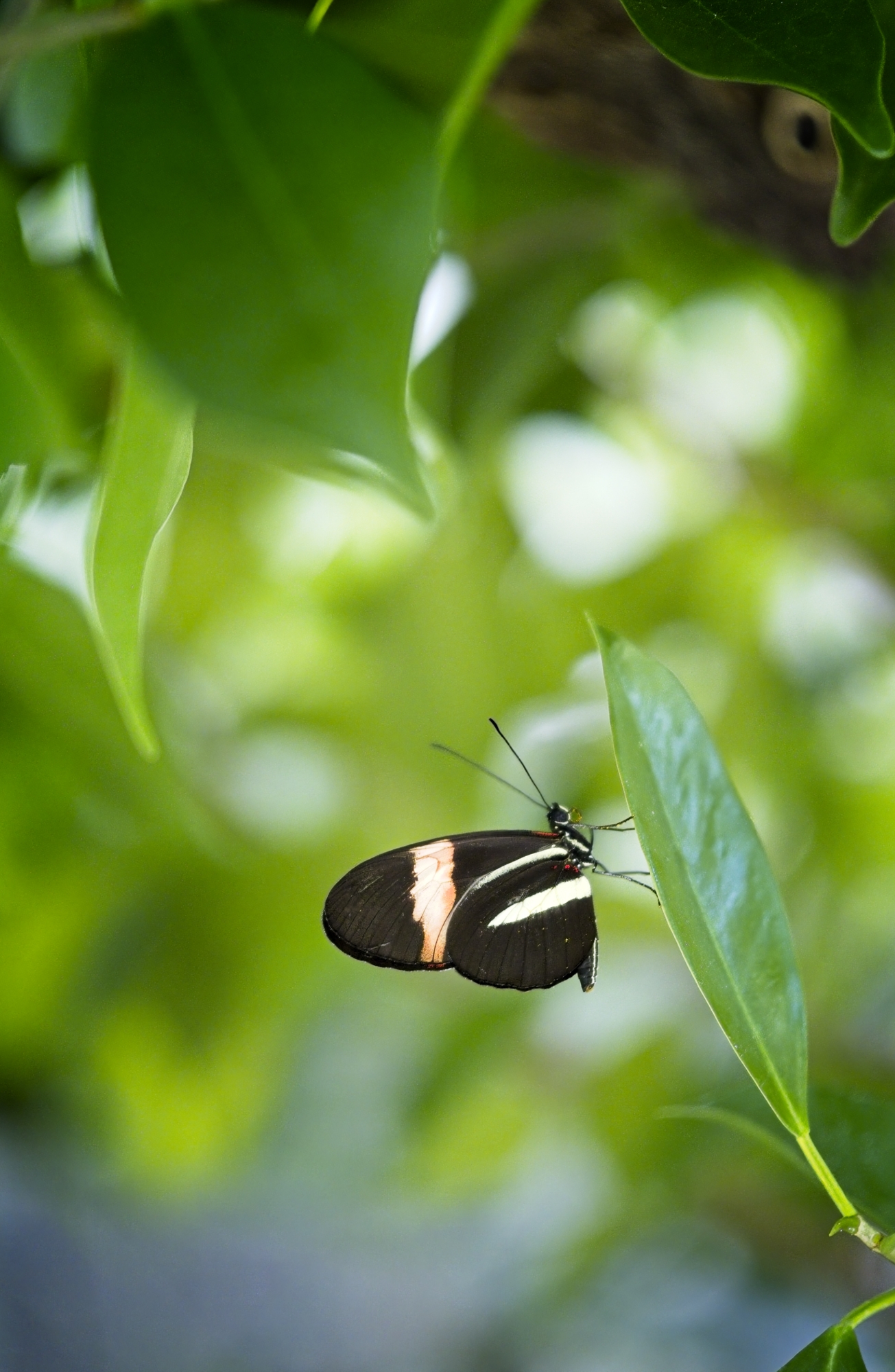 DSCF9862 1.jpg