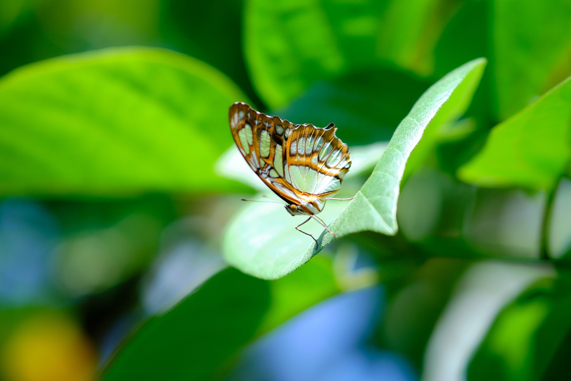 DSCF9876.jpg