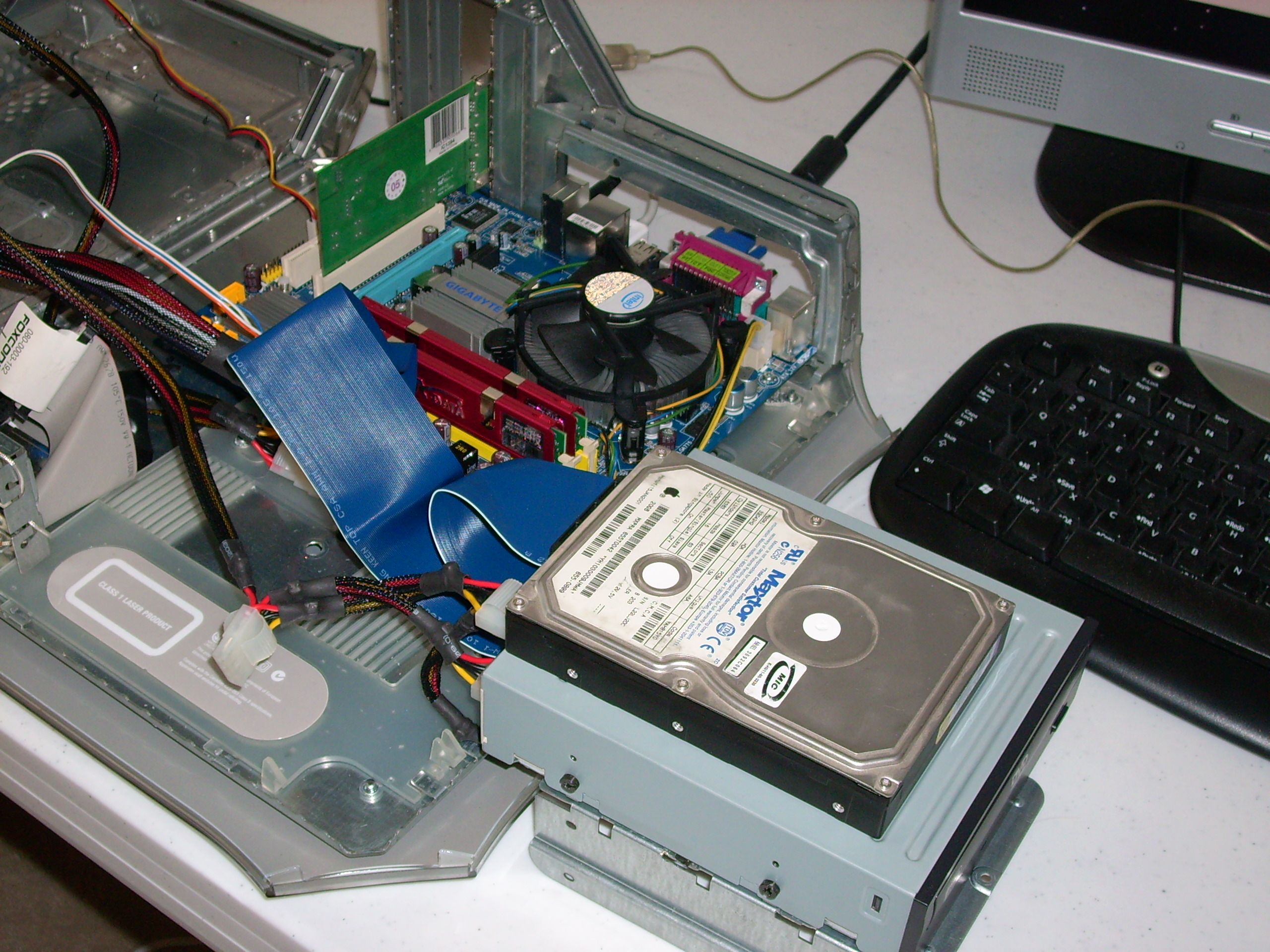 DSCI0013_2.jpg