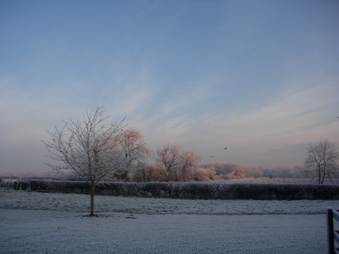 DSCN0079.JPG