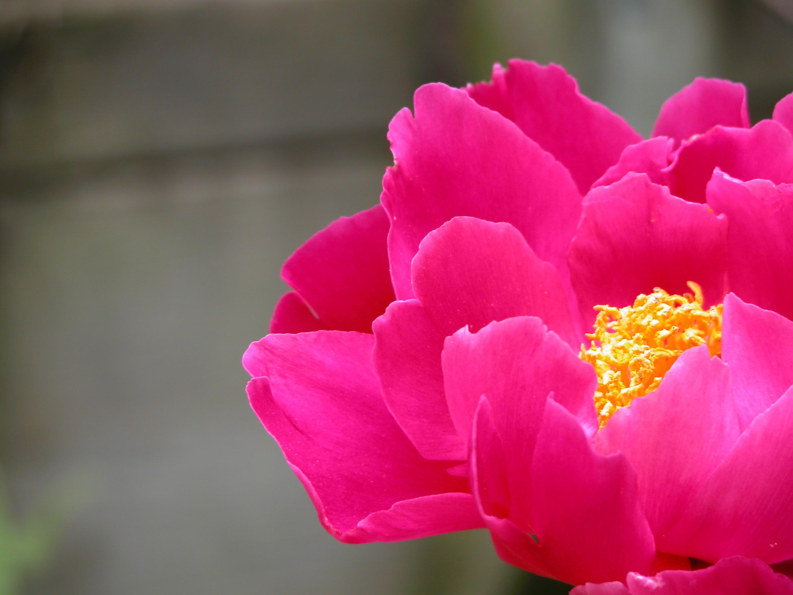 DSCN008.JPG