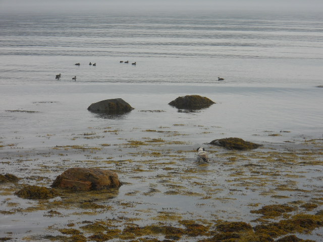 DSCN0437.JPG
