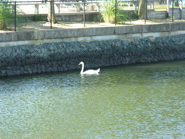 DSCN0622.jpg