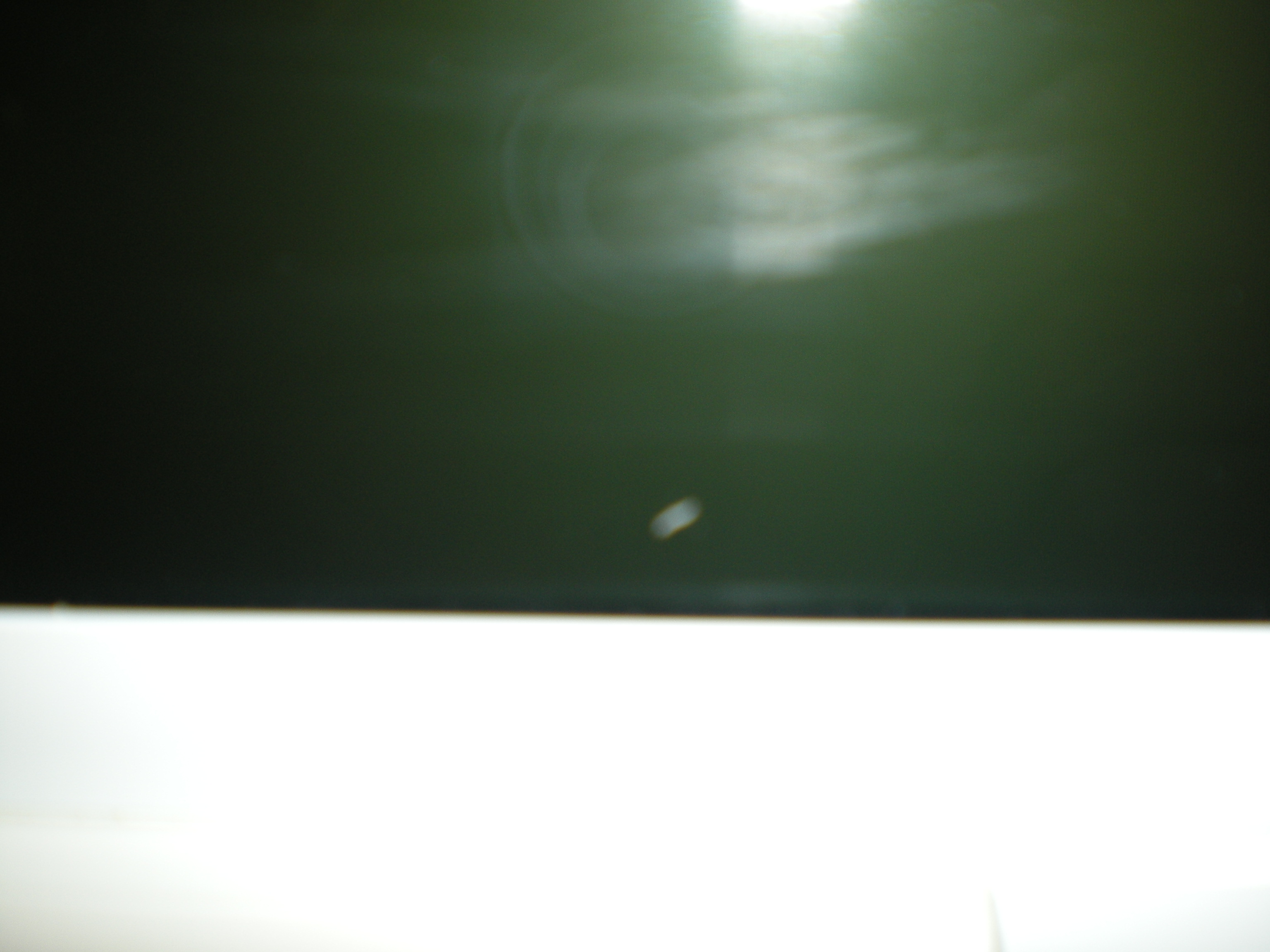 DSCN0731.JPG
