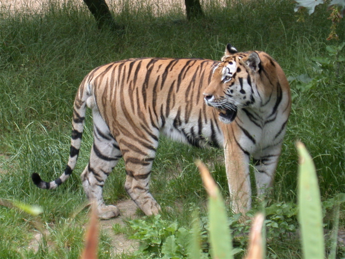DSCN0813-2.jpg