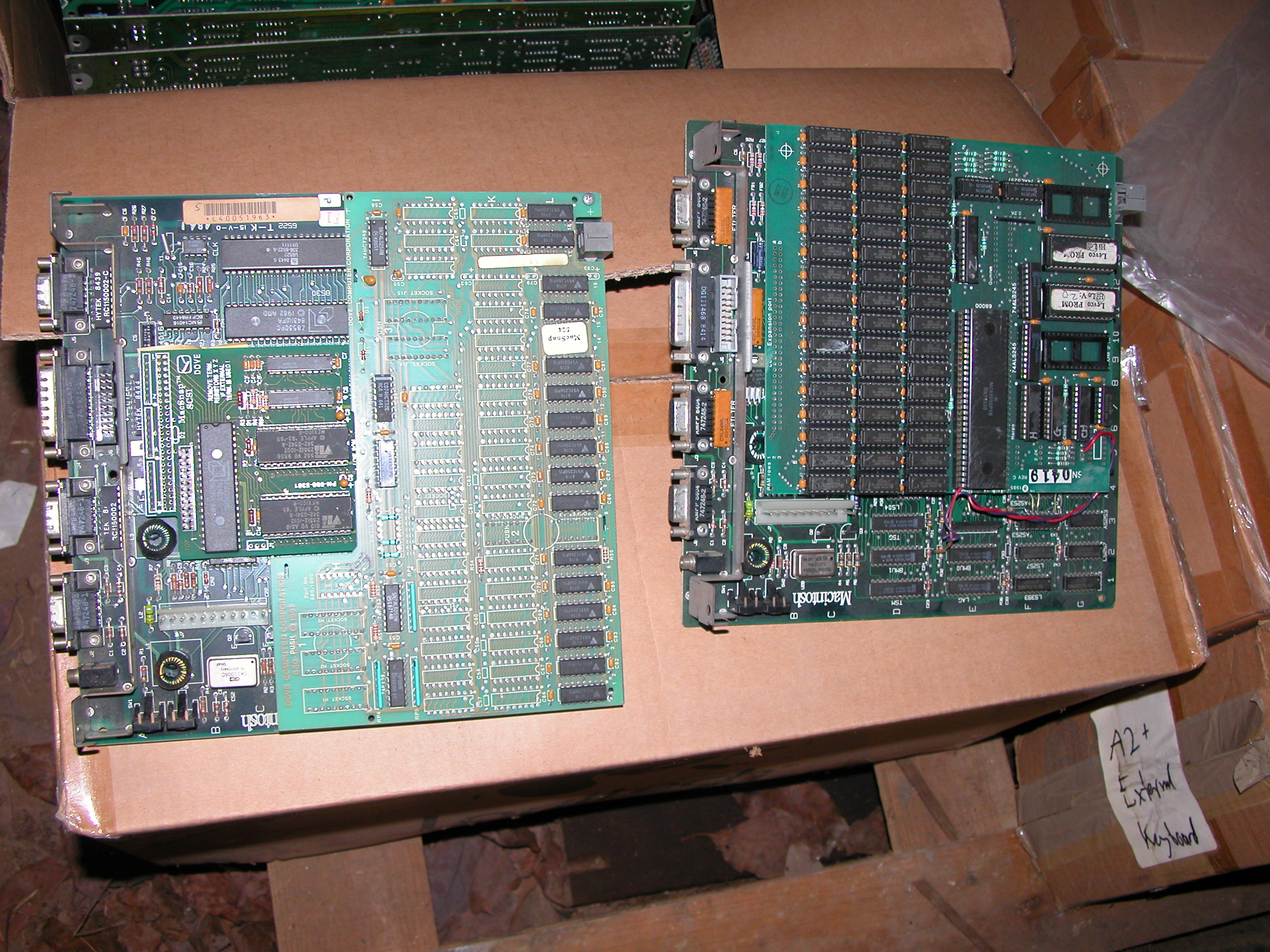 DSCN1278.JPG
