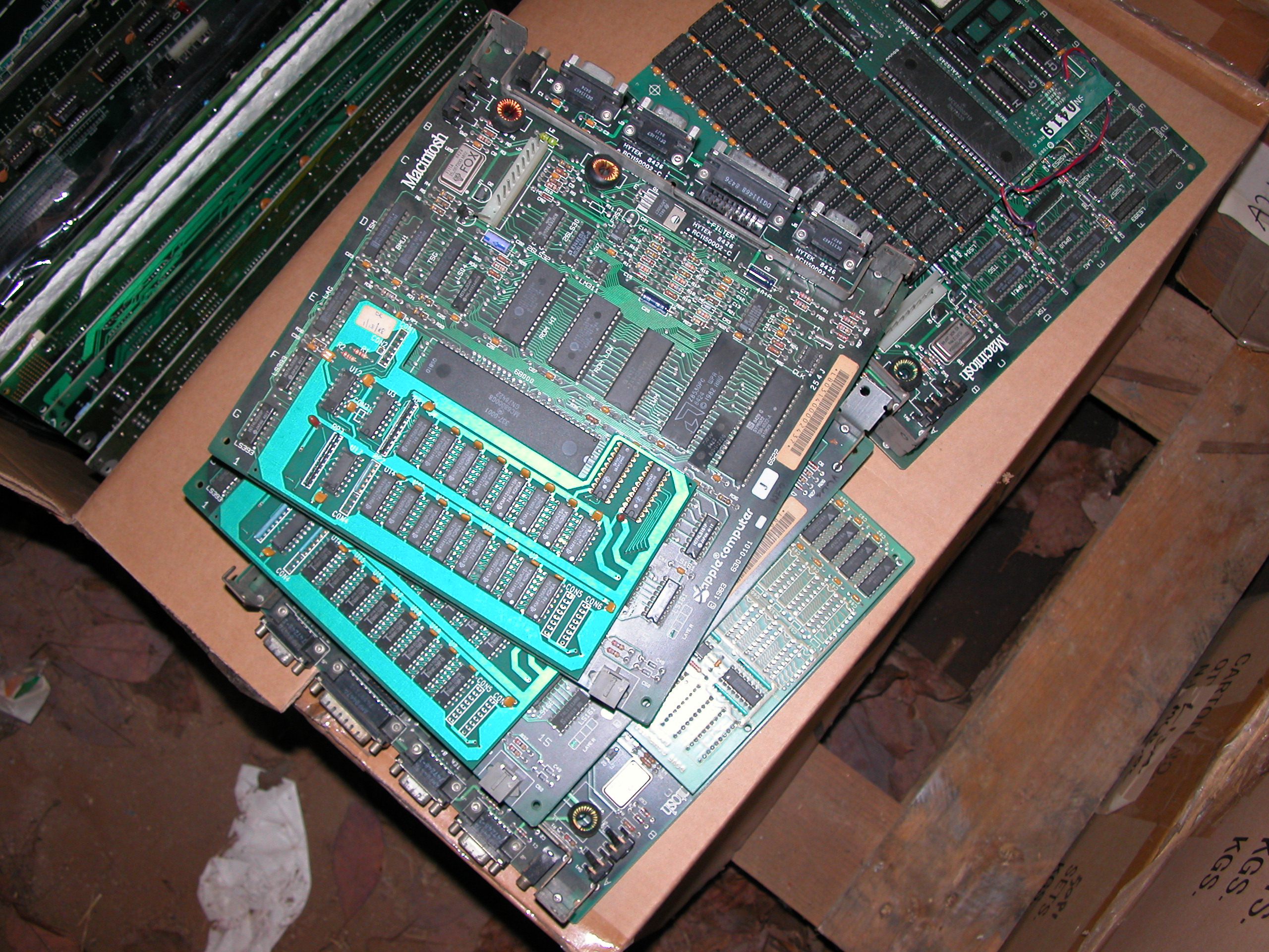 DSCN1279.JPG