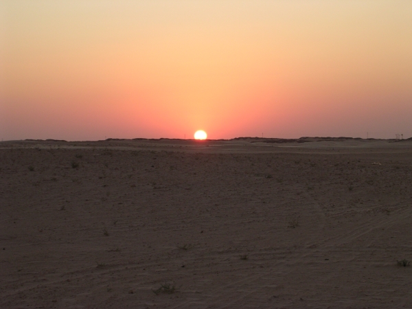 DSCN1652.JPG