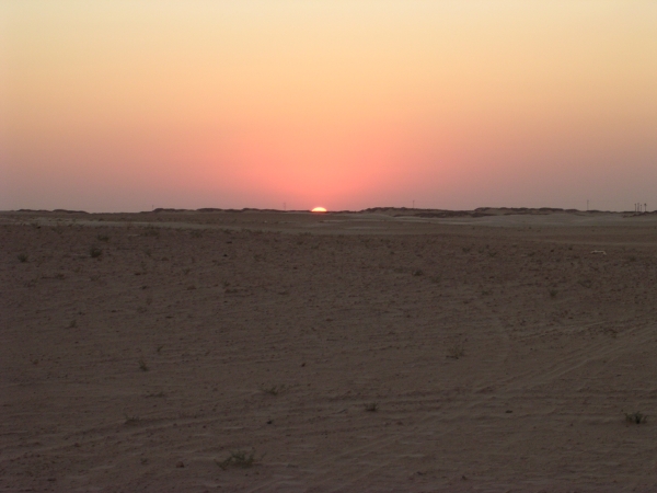 DSCN1658.JPG
