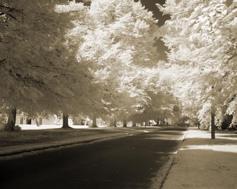 DSCN2463.jpg