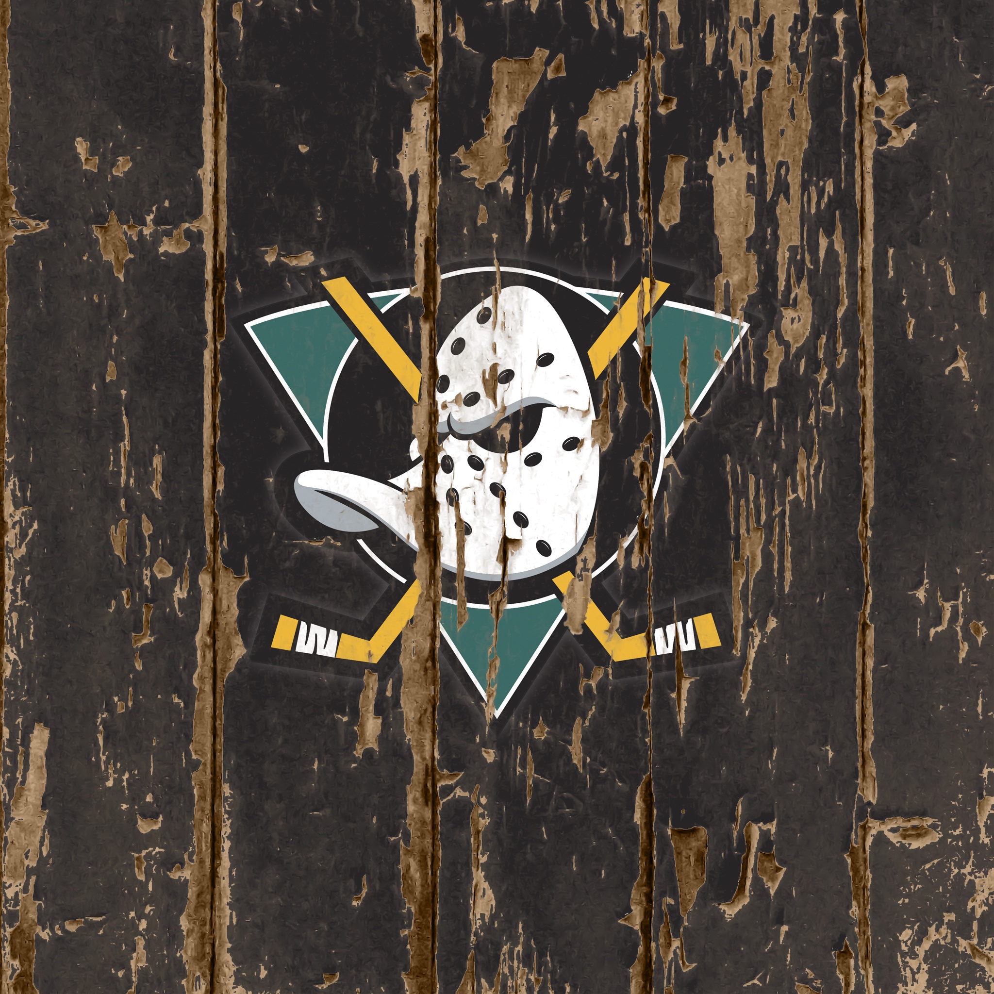 Ducks 01.jpg