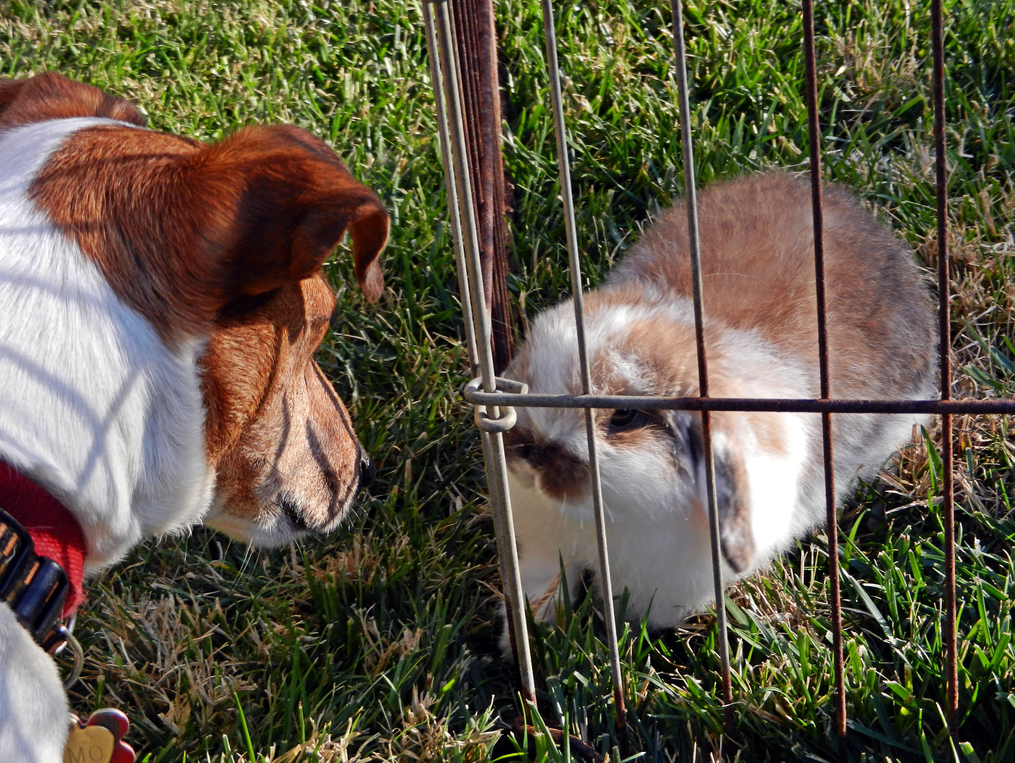 e&m - staredown x.jpg