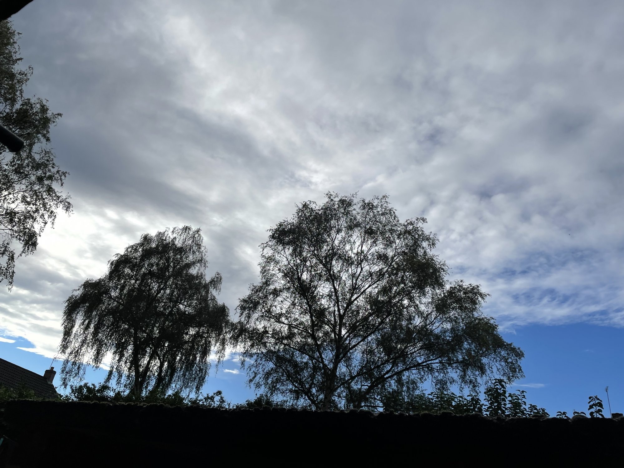 E46933F9-02D0-4805-824A-1E80A4957E13.jpeg
