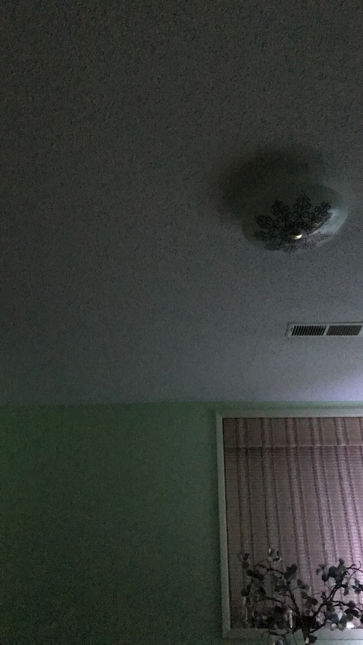 E50047C7-E954-4767-8F8B-539049FB4E90.jpeg