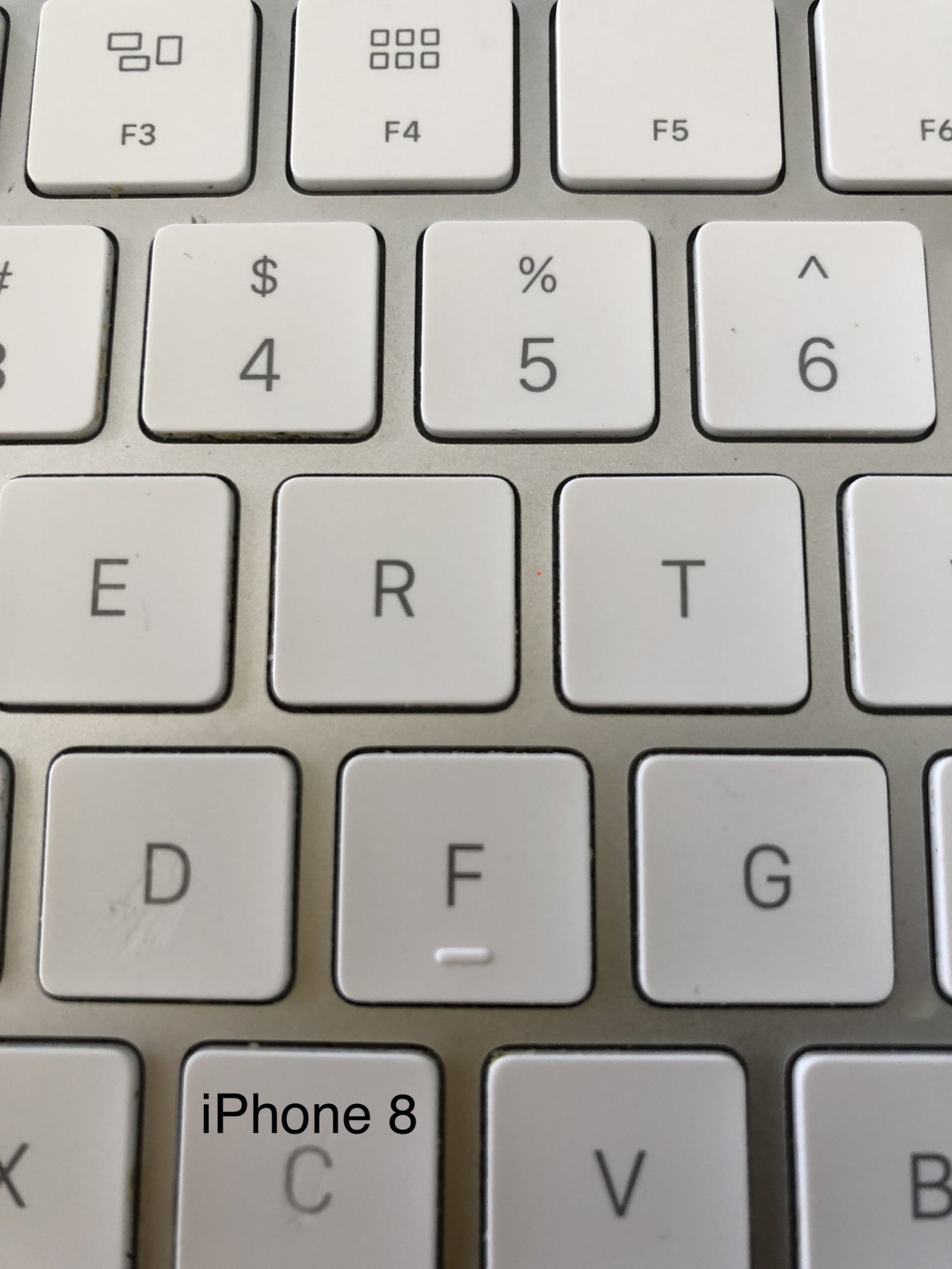 E5251B6C-9621-4FA7-AA0A-BBF3E6C20B67.jpeg