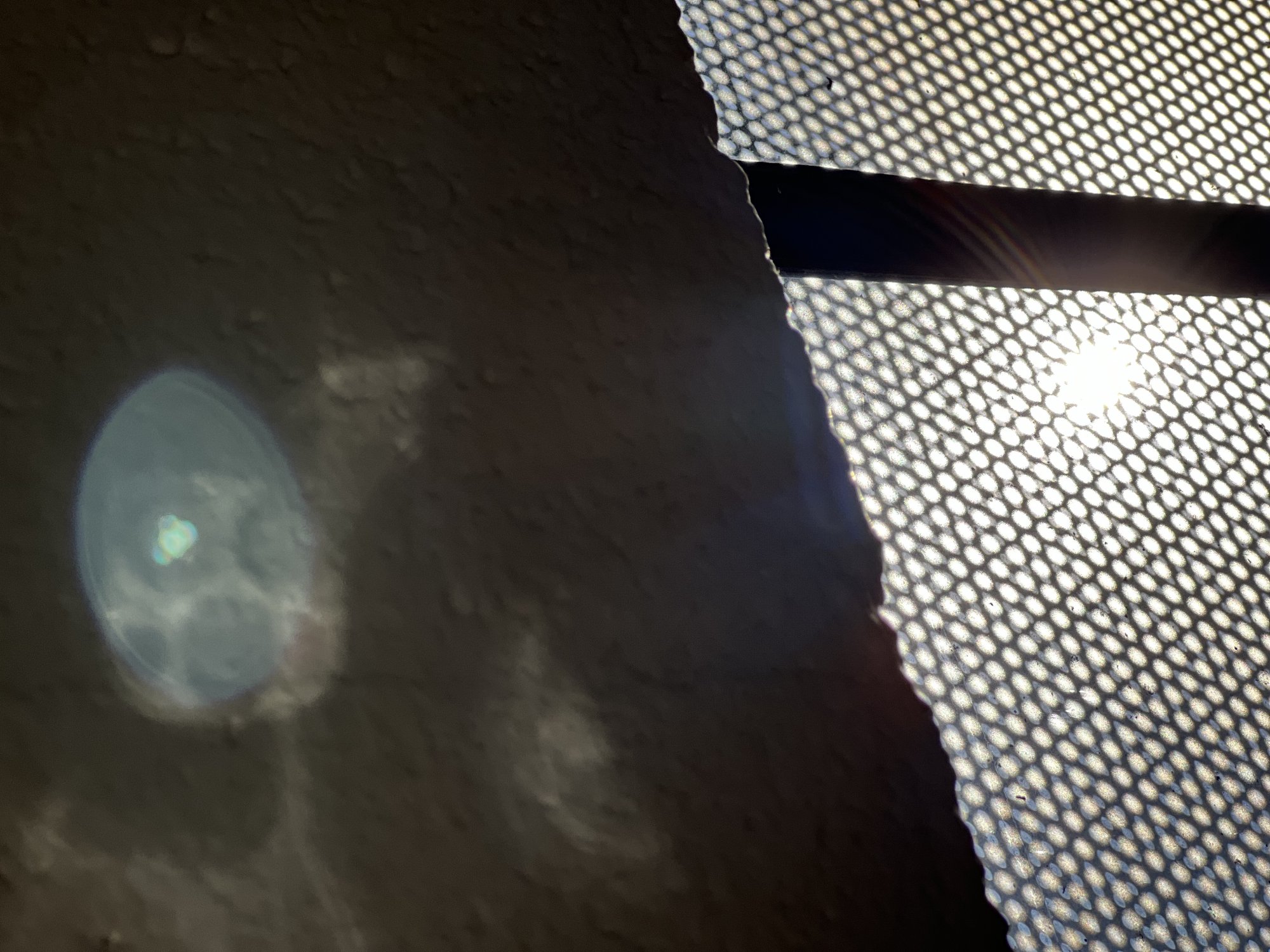 E6698892-555D-4F59-A131-1302CE979A21.jpeg