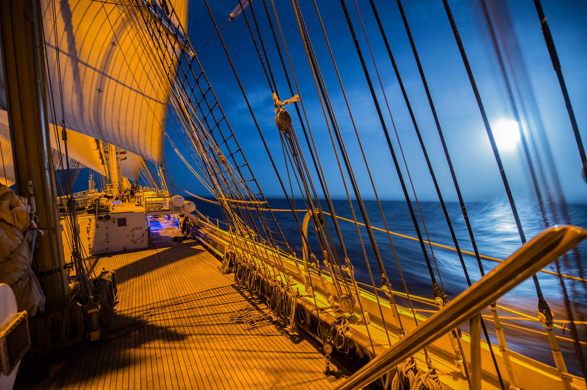 Eagle at night.jpg