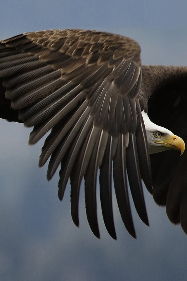 EagleLock.png