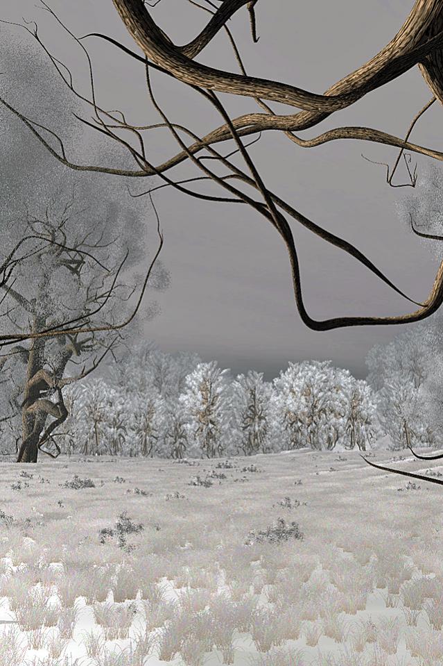 earlyfrost640x960.jpg