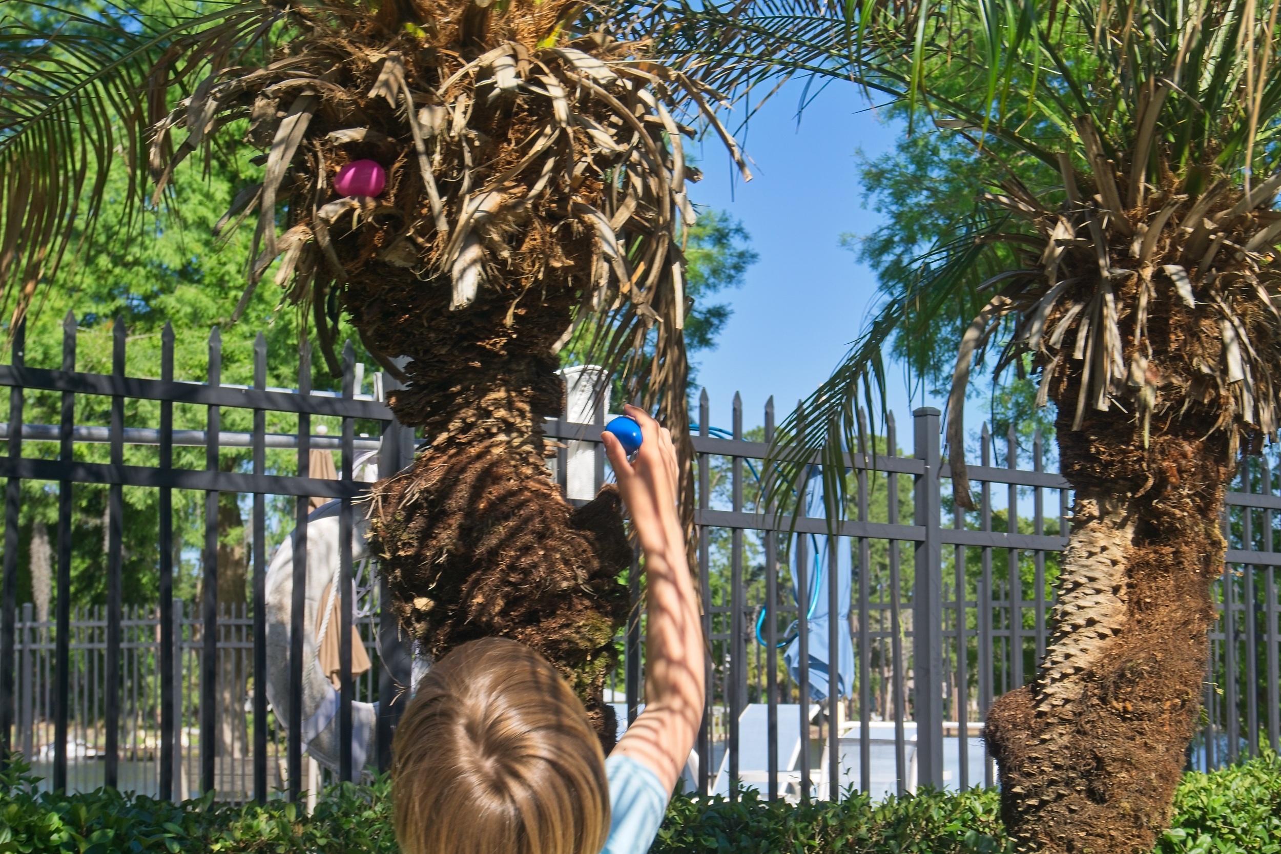 Easter Egg Hunt - 2500px01.jpg