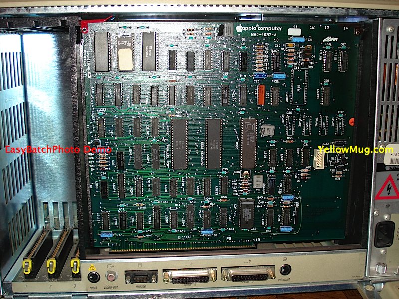 EBay10.jpg