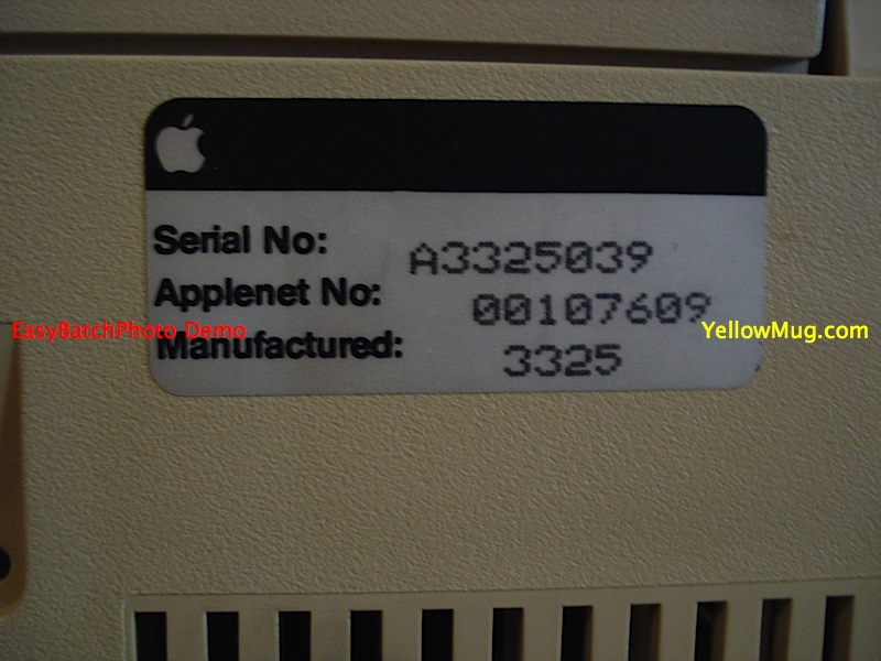 EBay19.jpg