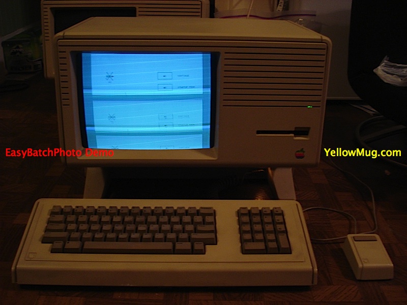 EBay4.jpg