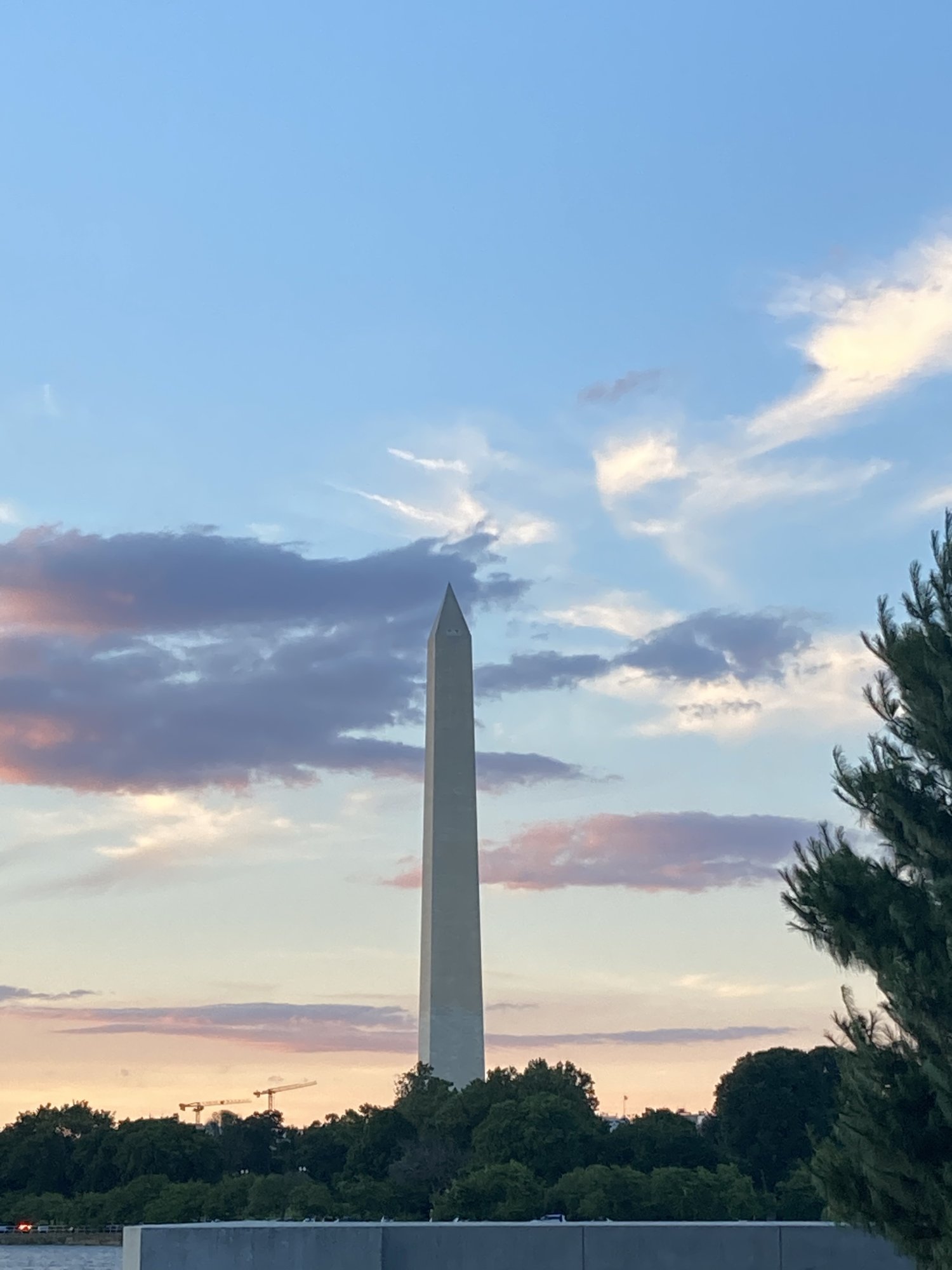 ECAFDBEC-5E09-438A-A011-6E24DD5DDA28.jpeg