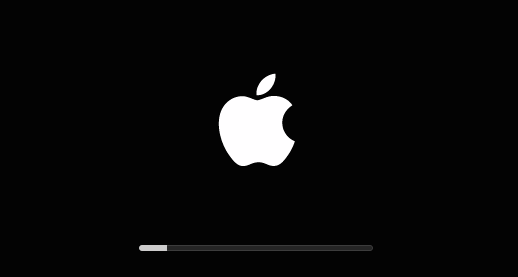 ecran demarrage OS X.png