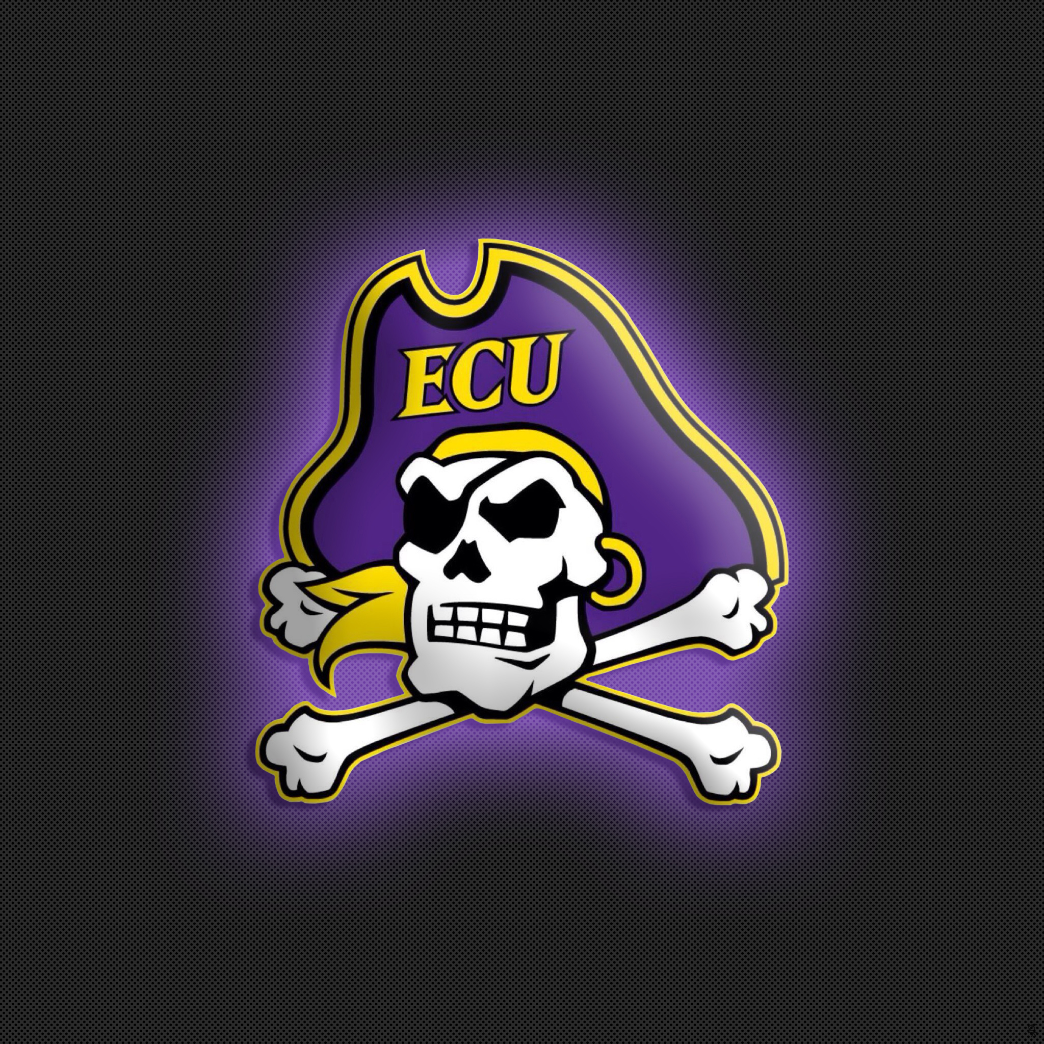 ECU Pirates 2048 02.jpg
