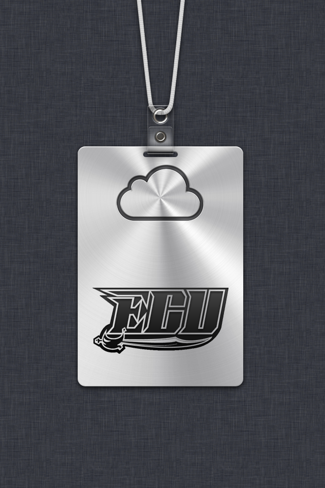 ECU.png