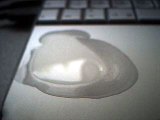 egg123.jpg